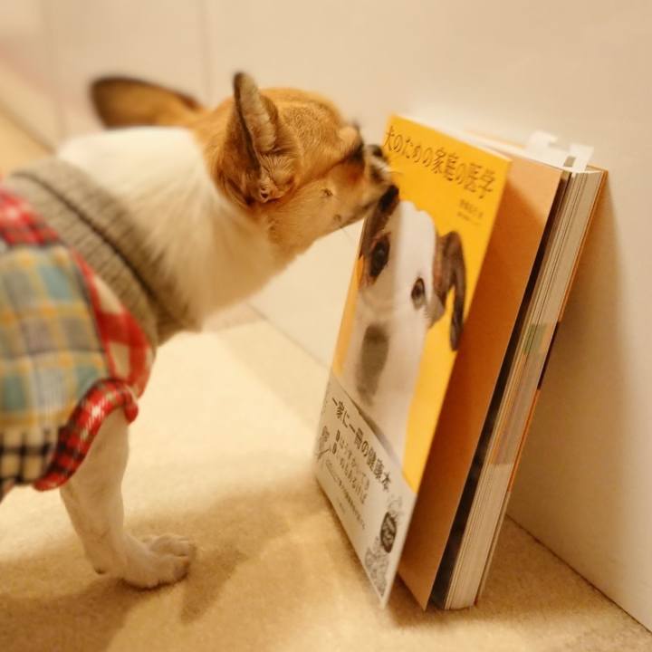 A31619ad 3037 4737 acfe 6f5a59b58b2e 1576245792502