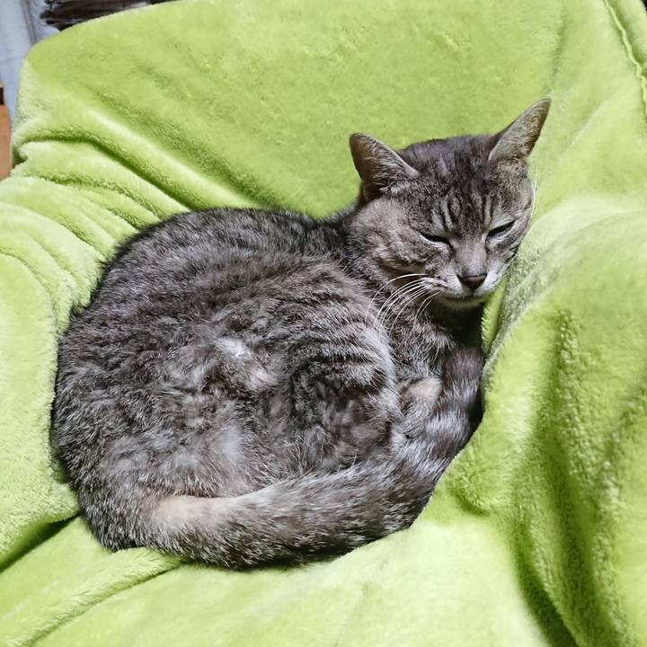 A3166a6b 00c5 4a92 8130 079b29caa5bb 1583313877446