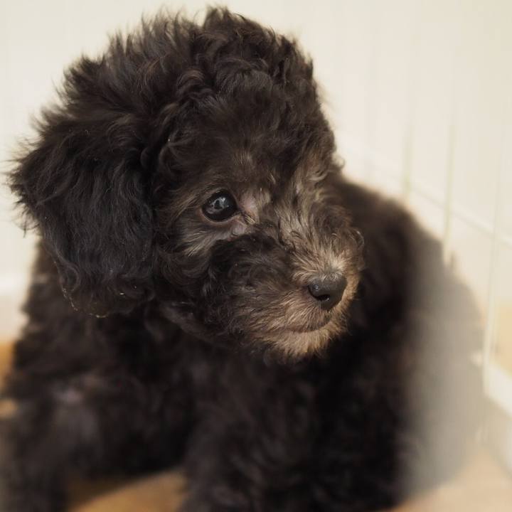 A3167bdc 1fa3 4093 8ed3 c42275c5957b 1588115834596