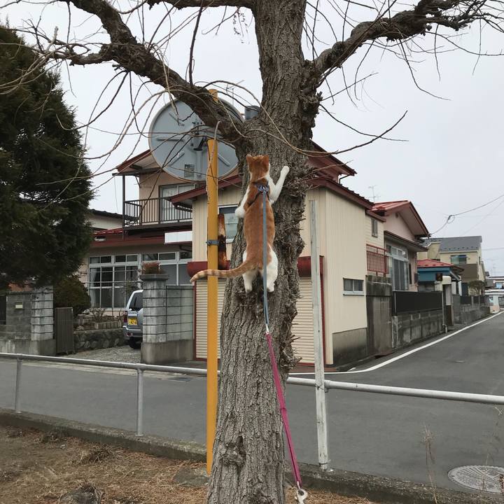 A31681e0 235a 4bbf ba74 b8bf36163a46 1516597457900