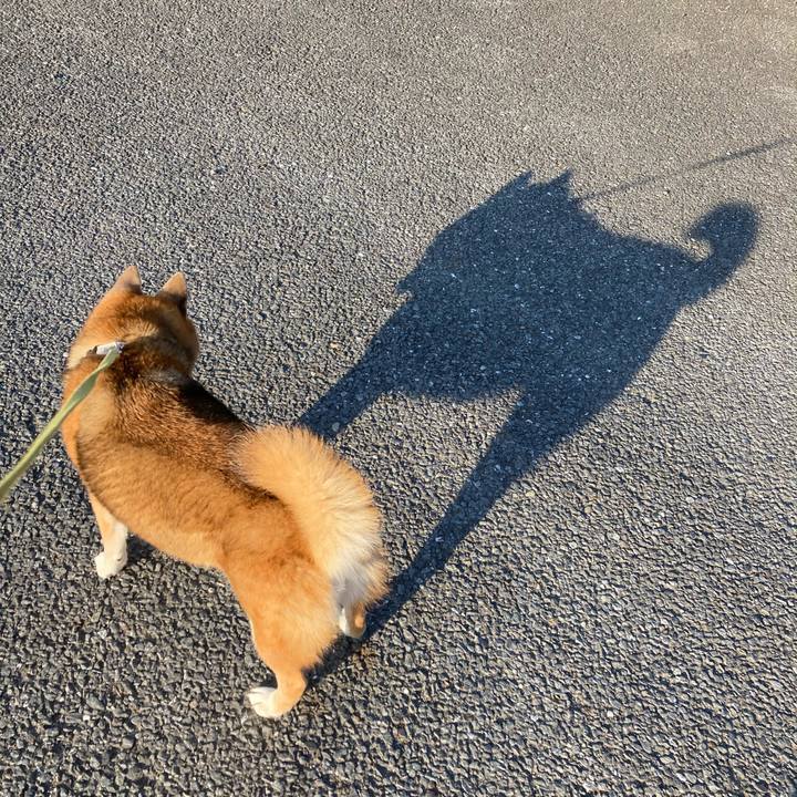 A3169184 25b3 43fd af24 2c7fa38863fb 1699070402753