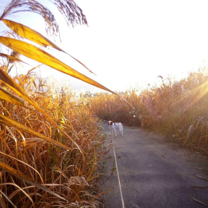 A316d827 86d0 4a94 8674 4f65ba26c021 1512346141731