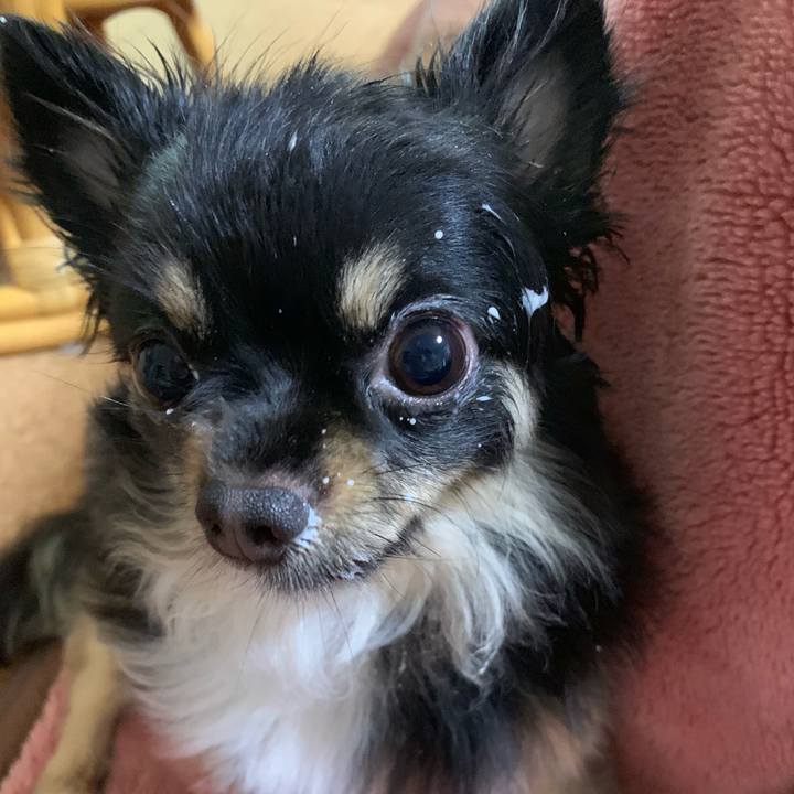 A3170478 2008 4785 8142 7a93ae4cfdfa 1560031520604