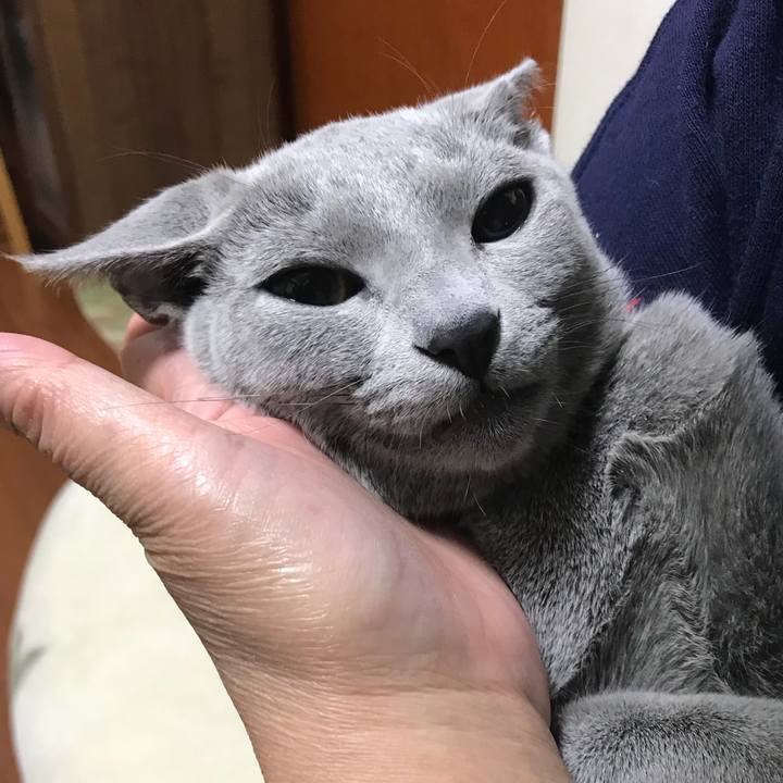 A3171922 8ac4 4209 83cd c9c28ce998f8 1510580456732