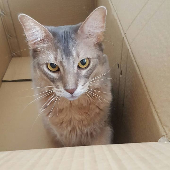 A3171bac a77c 438a 9c2a 7976cc89d110 1551787950808