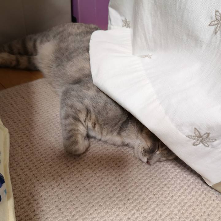 A31744e7 bc96 4562 b0d2 af0e949013ce 1561728472296