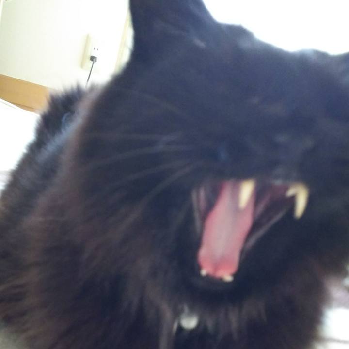 A317753b b265 4388 b3cb 522ada81559a 1515369290459