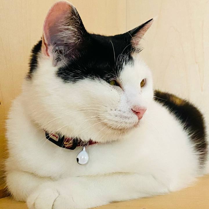 A3178719 bae8 4031 86ab 8c4d3b082e93 1657117375850