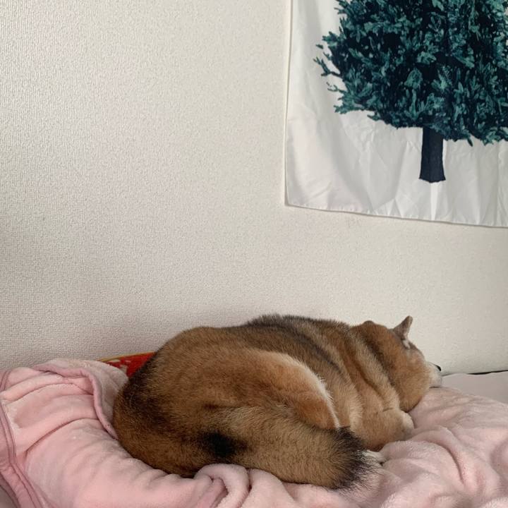 A317a604 39a3 4359 a032 f0c35aede933 1669261711630