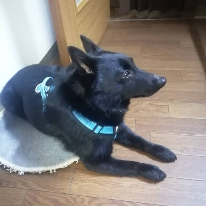 A317aba3 4b5c 4bf3 99d0 5565057b880e 1651872794771