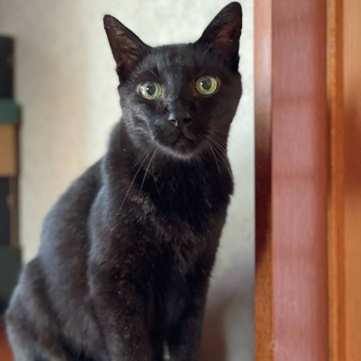 A317bada fe68 470e 965b 13e3c1a7c667 1662428315913