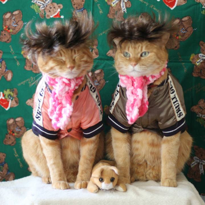 A317bfc1 7354 4a7b 873e c19ffc8a286b 1513853900578