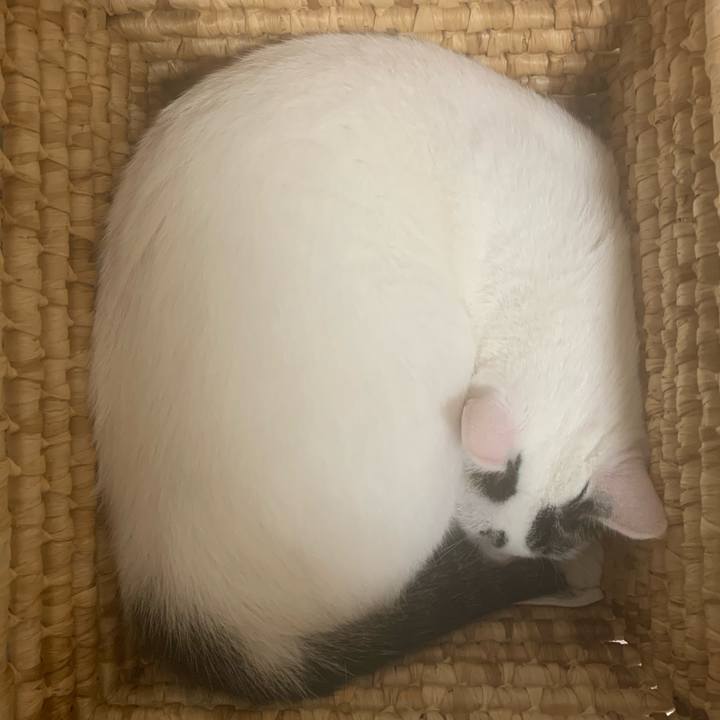 A317e2db 8e68 4d27 bf70 54c490b01d04 1624321720545