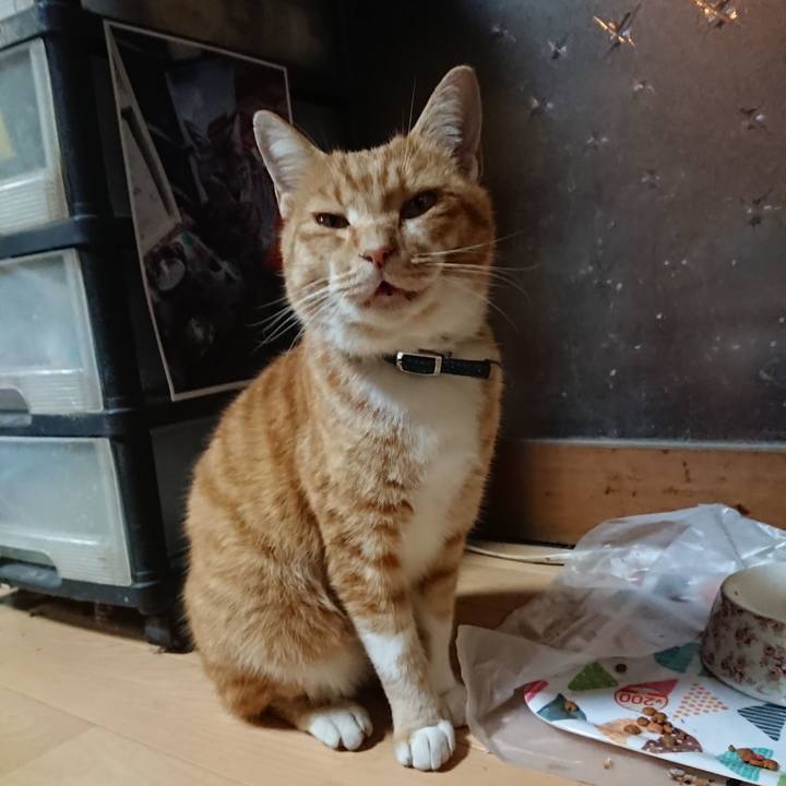 A317f7fa 8edc 4320 a947 5441d5ba89f9 1603963088142