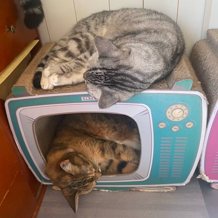 A3183708 4a7f 41f0 ae07 e3387e622dda 1664070683642