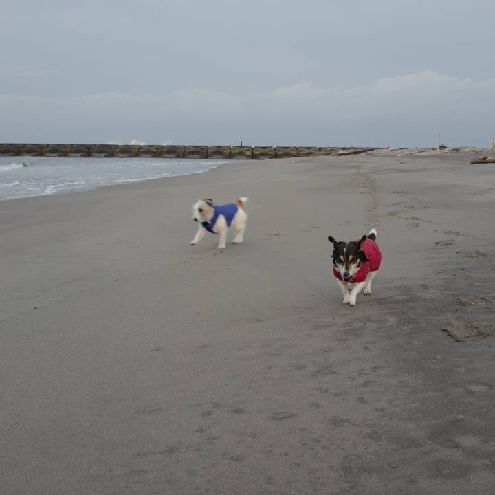 A3183848 7cb3 4b6a ad09 dd3ee7996ae0 1576989562807