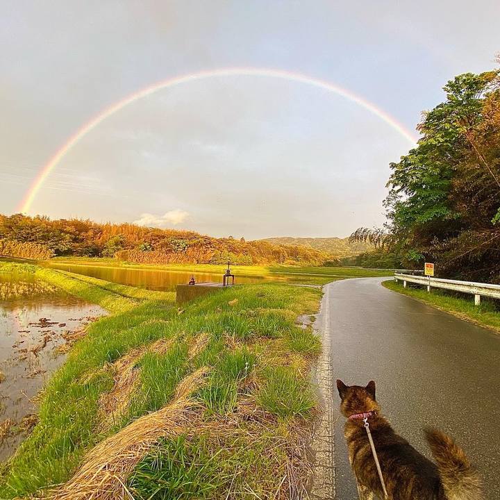 A3187b27 4131 4e36 a3e4 f7a3489e08ae 1651404967682