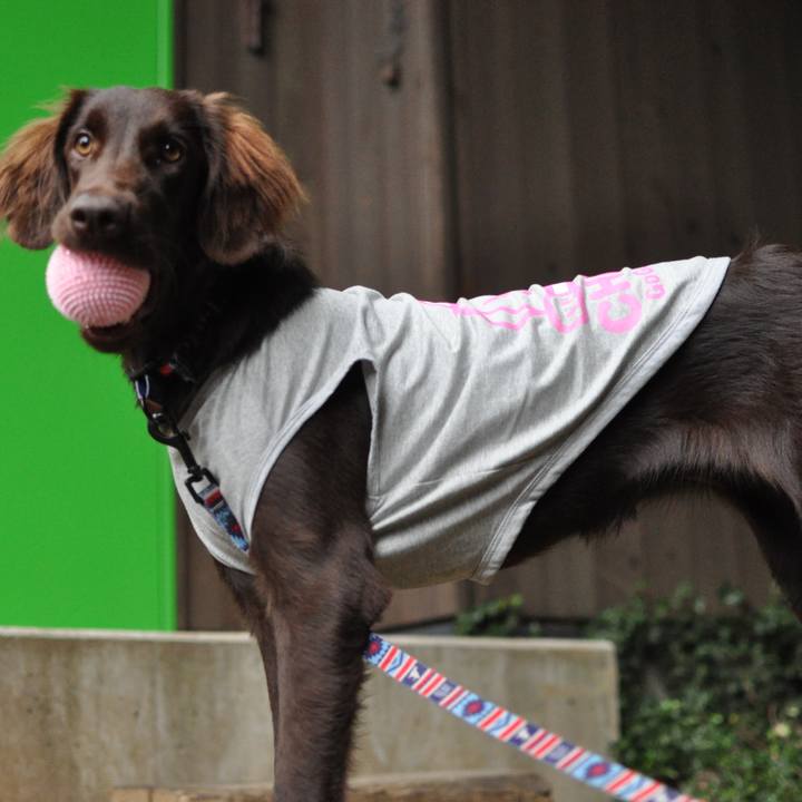 A3188a75 7e11 4df0 bdfa 854d28dd351e 1563706621848