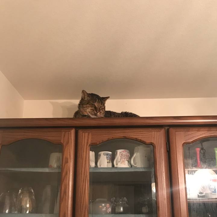 A318a842 45a4 4b01 b5b1 66e9d4848b4e 1529760892359