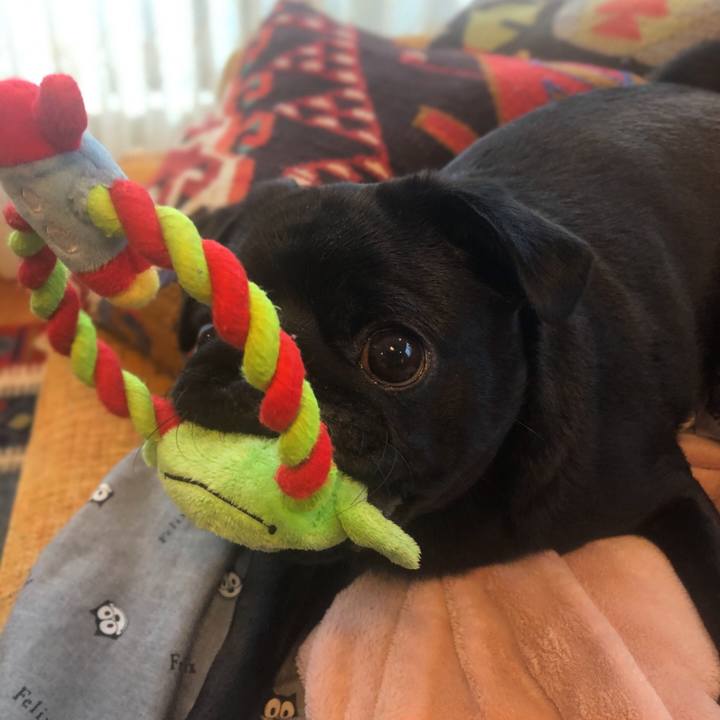 A318dbd9 3093 4fe9 8d6c f0a6013d6444 1612238261276