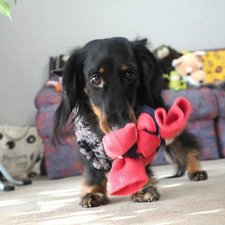 A318e6ba 429a 43aa afa7 34332a770a1f 1547698774959