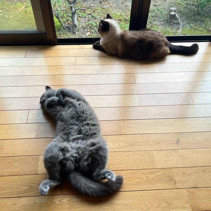 A319011f d11d 4c89 84b8 c5be0318f76e 1653528186208