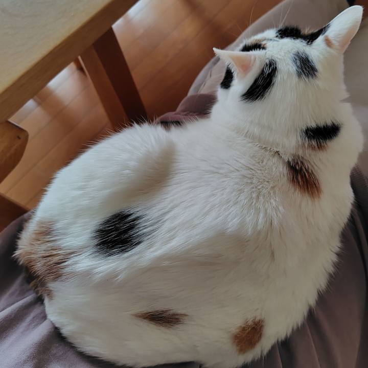 A3191a18 9d59 41e8 9ba2 e48404116946 1715581765652