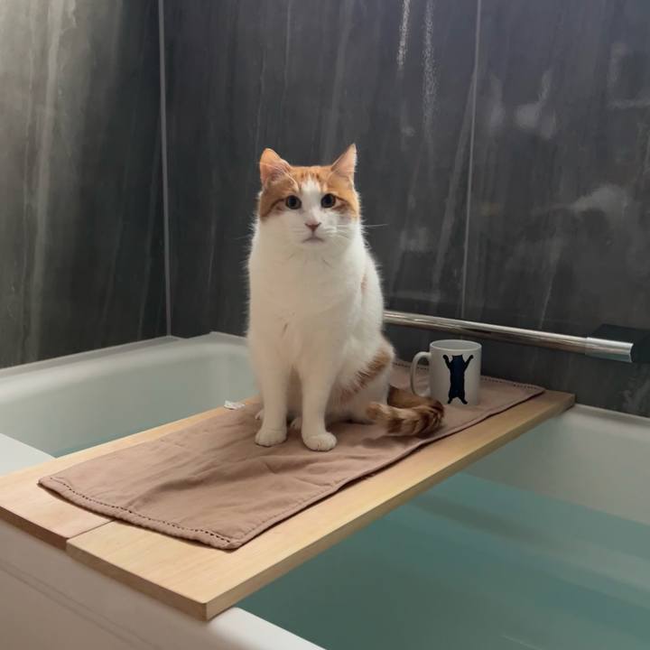 A3192852 ce36 4930 8eb9 2e0f8af6b7bb 1765070117672