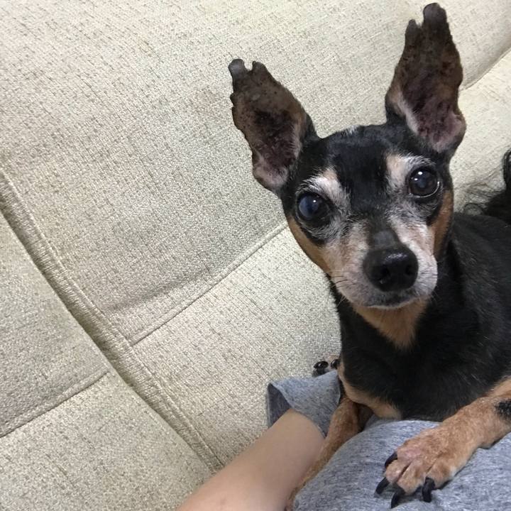 A31966d9 682a 4e70 a607 870b5e602a45 1529219693994