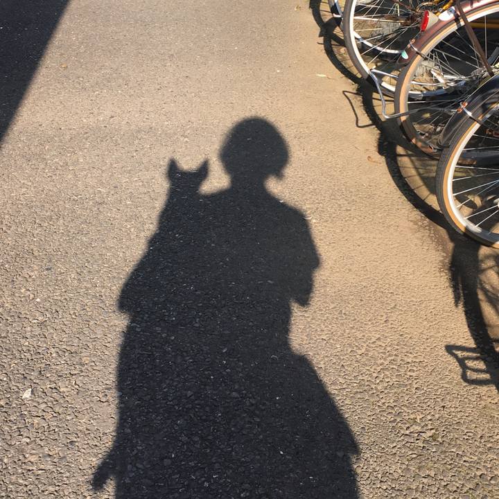 A3197abc c29d 4a88 9eb1 ec1a3732a211 1593041068731