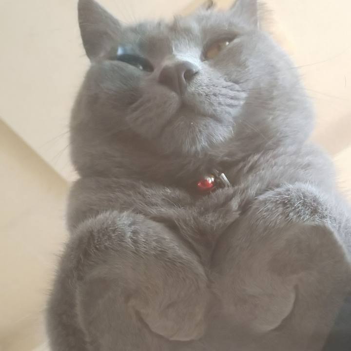 A3199cf3 39e9 4fbb b8a8 c42014a2136a 1536387402314