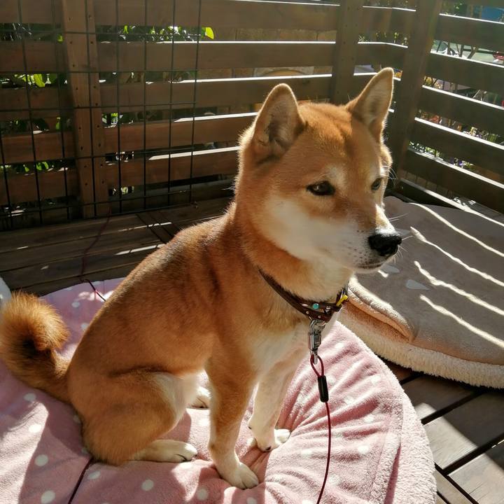 A319adc6 e86d 42b6 bd9f 573333923ec2 1613717923299