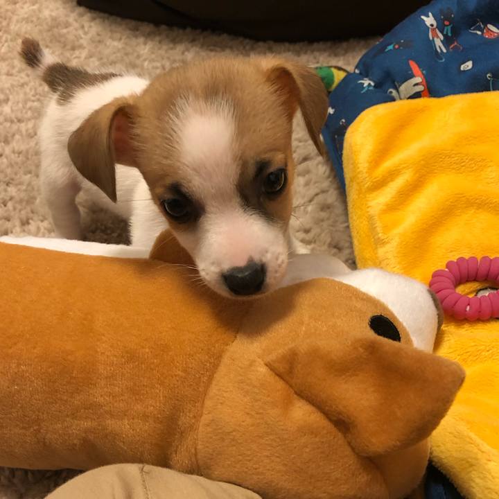 A319b0e6 3d6f 43fc 8399 cacccd55bd01 1543309757604