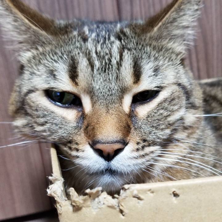 A31a1639 7fa2 4406 bde6 d16be9987e76 1555018957583