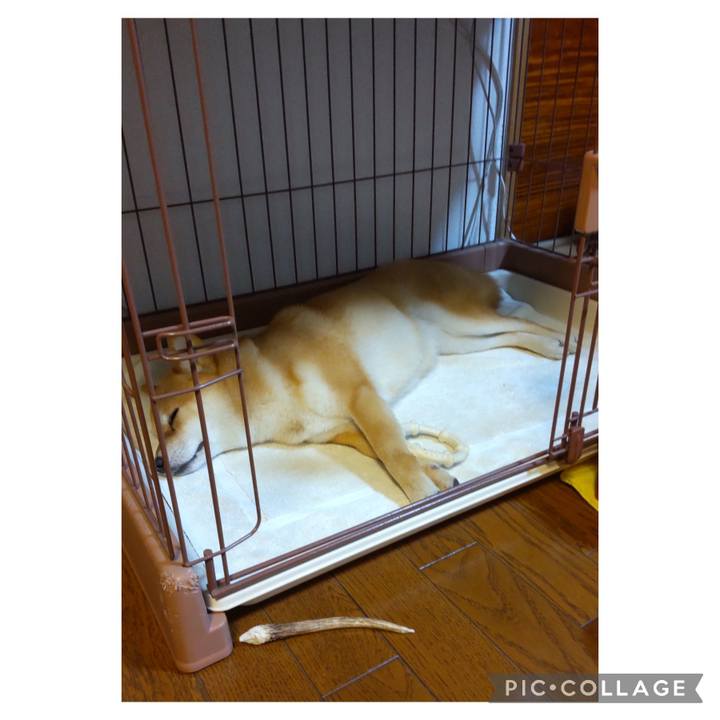 A31aa0e0 a293 4310 b2e9 1059e0a350a9 1687260527775