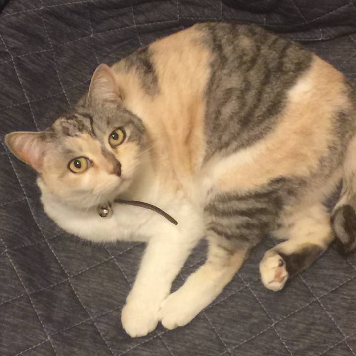 A31b2cd9 cac9 41d0 955b b805494f385d 1547917014335