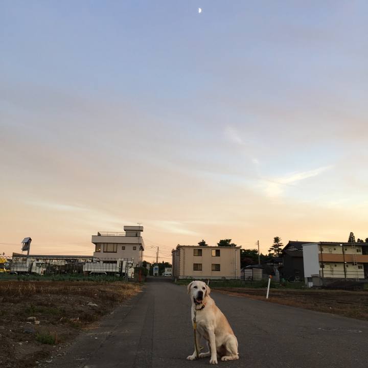 A31b3dcc 22be 48a3 8819 62e78bc53c70 1534589754541