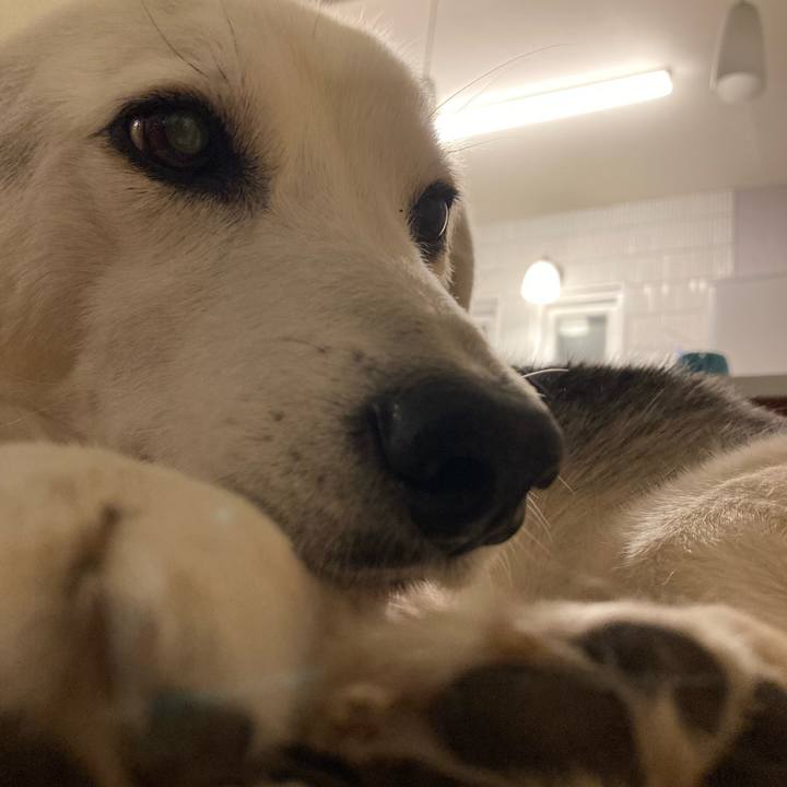 A31b42d2 60f8 4dc2 b78a d37c7e53f73e 1673239788184