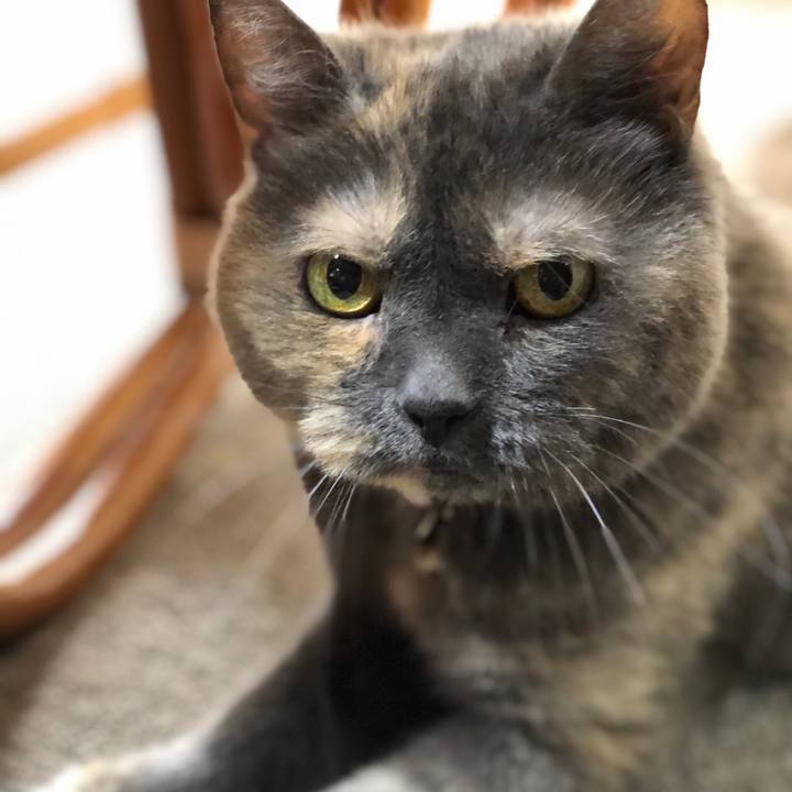 A31b953d 0c17 4c53 9cf2 f99338fb18ab 1591743690921