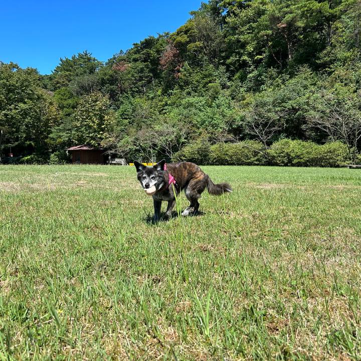 A31bad61 a9dc 431a b779 06ded183fe97 1726801696330