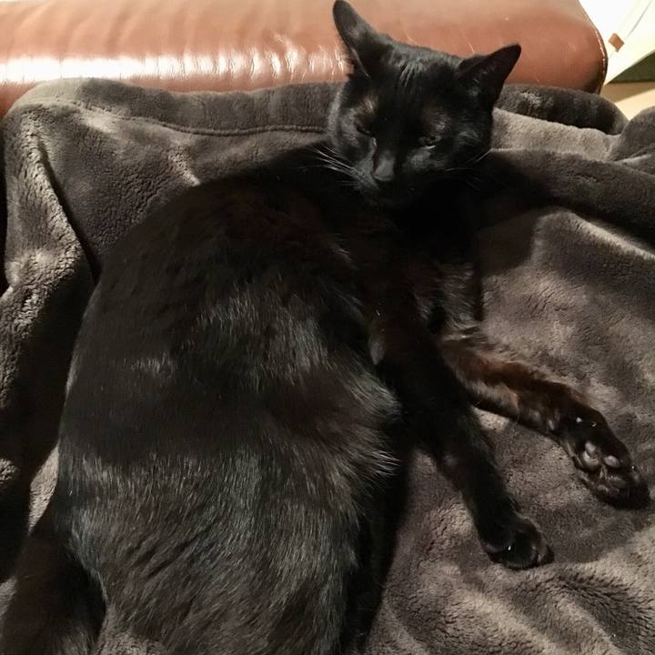 A31bd520 ce04 44dd 8dba 1dce88c919b1 1556160777991