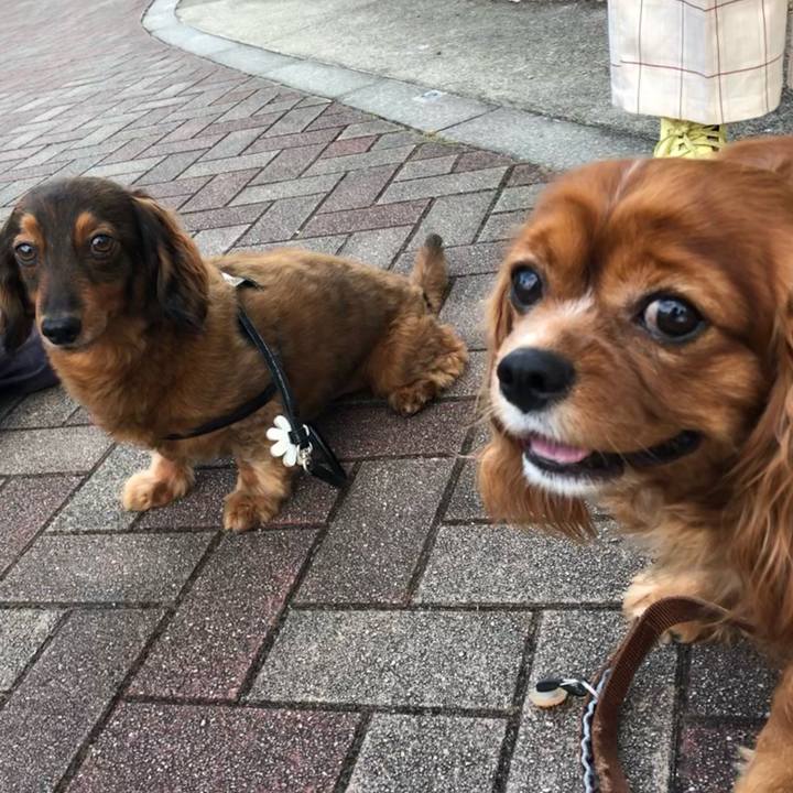 A31c0870 d908 4a68 8069 456337e30e9d 1622287474239