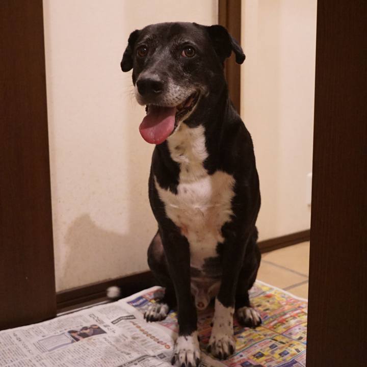 A31cfc38 9a1d 4a3c bbe8 f0d50b845f0f 1757675093081