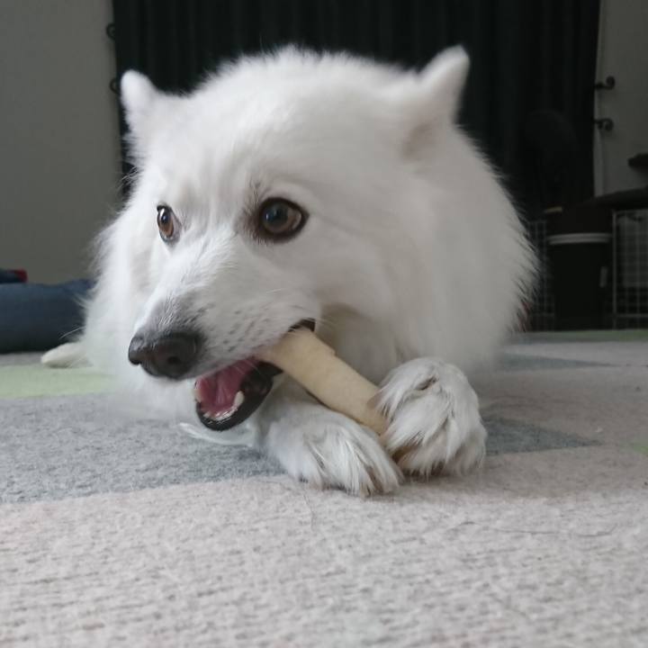 A31d07c0 d087 4a1a 9b89 9f200f5af16b 1608607375666