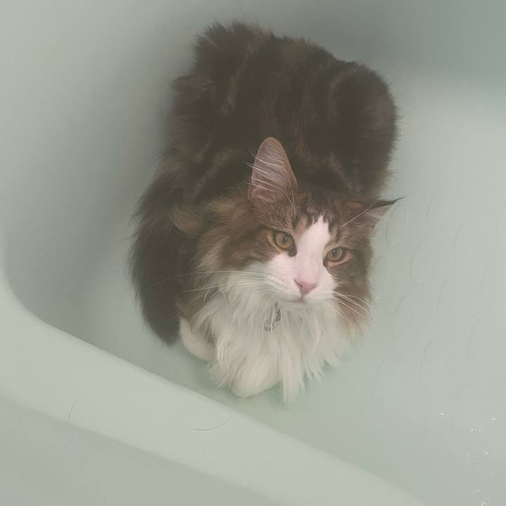 A31d1ef8 488a 4d80 bedb 0dc222544cc6 1645444858764