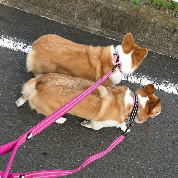 A31d242d e740 4837 95f2 815eeb6946ef 1531867084800