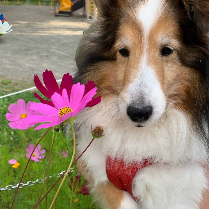 A31d3fc4 a85d 4dc3 a34e 5d5017b53ae0 1595319104561