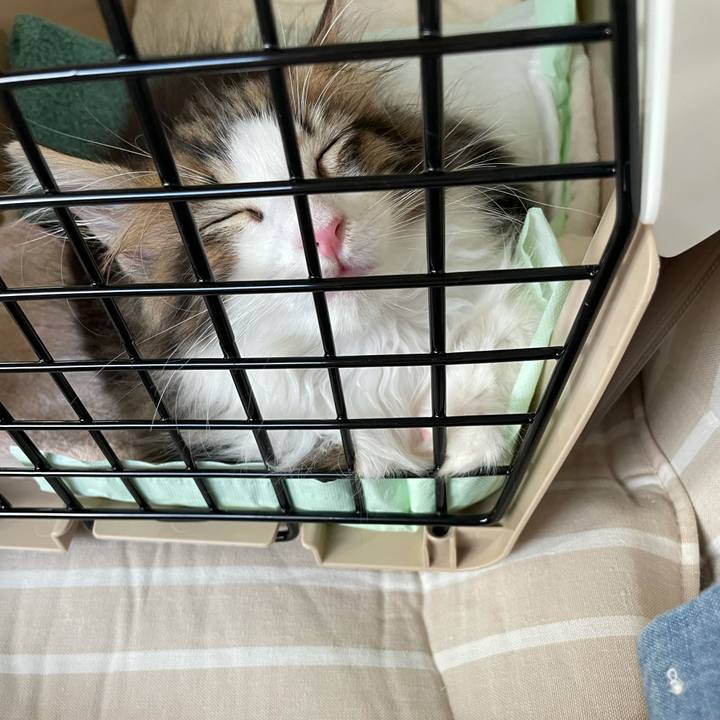 A31d4621 4736 4750 91f9 feab4d2e6937 1631790280544