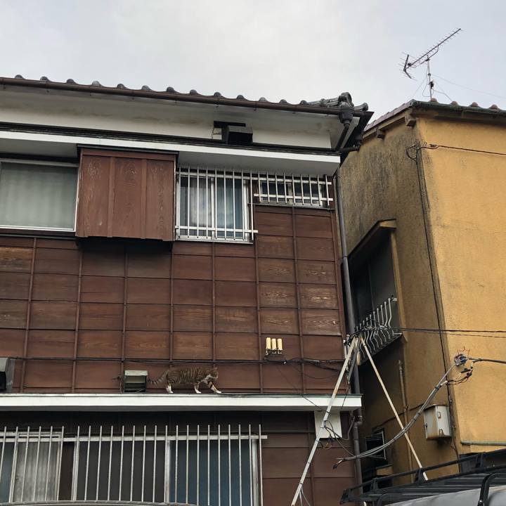 A31d889e 3545 4089 8c59 663f895da3ac 1551460062799