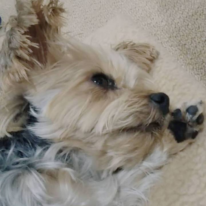 A31da6c1 008d 4416 bcae 79fddb8a6538 1644658809447